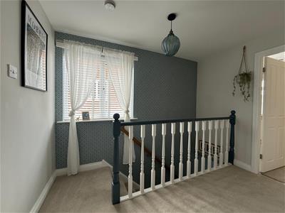 Picture 16